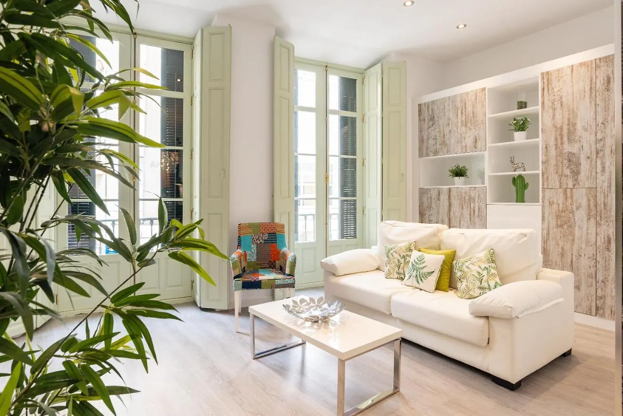 Apartment Homemalaga Constitucion